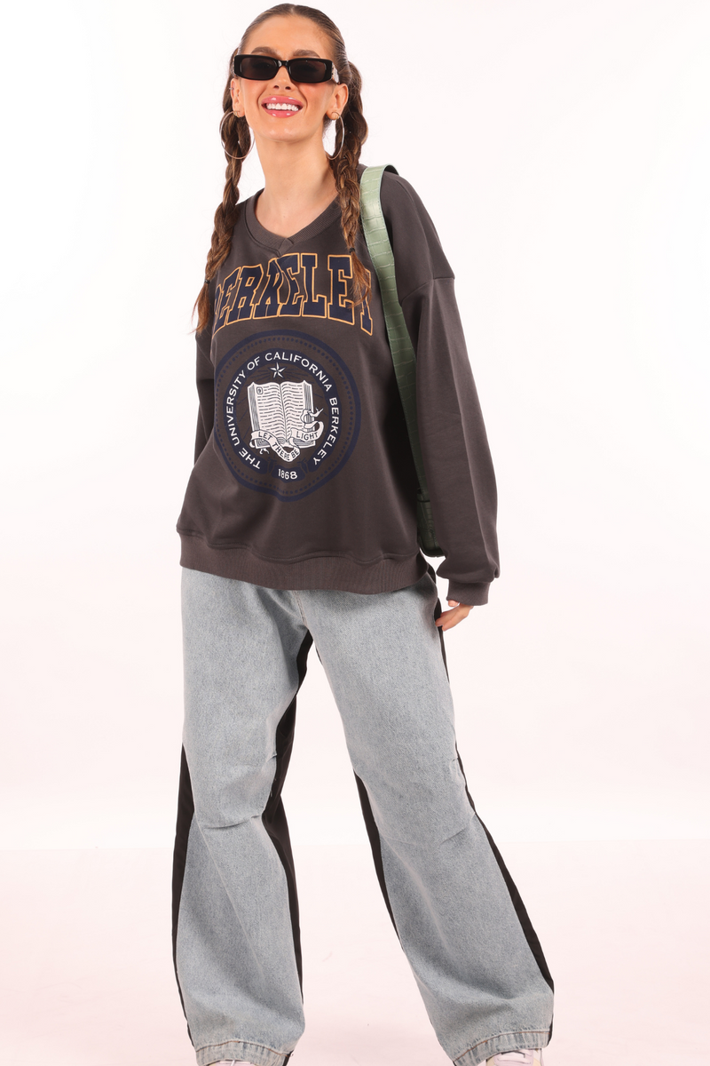 V-Neck Berkeley Sweatshirt