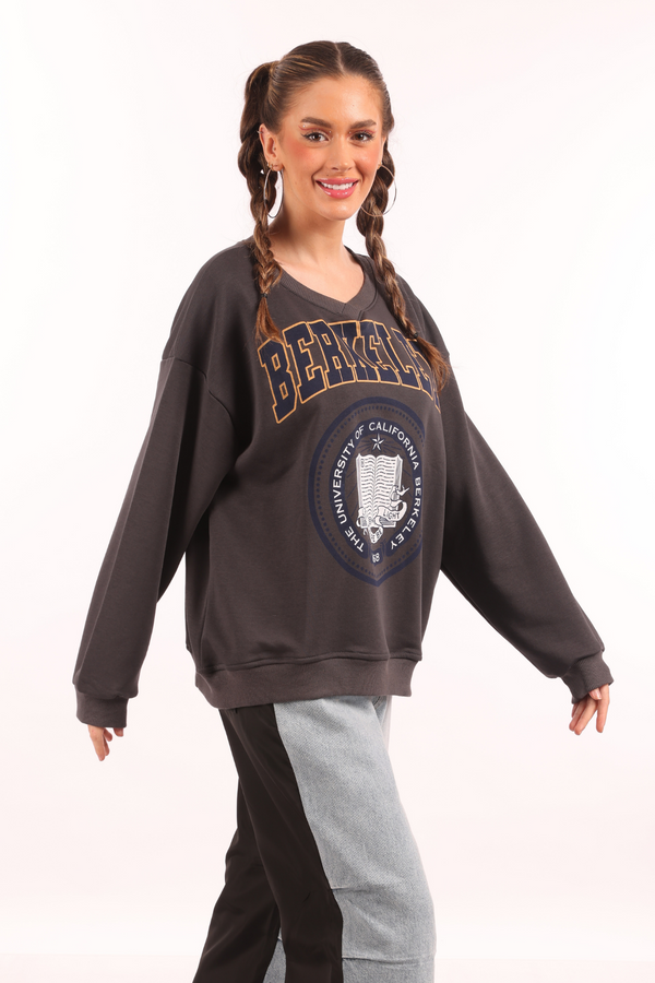 V-Neck Berkeley Sweatshirt