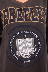 V-Neck Berkeley Sweatshirt